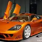 saleen