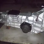 tuiotik