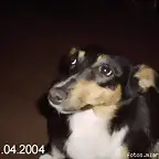 luzcecitas varias