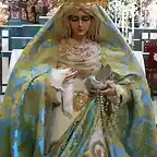 Paloma Inmaculada 2005