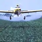 agricultura pesticidas