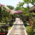 Hotel Bali Taman Lovina