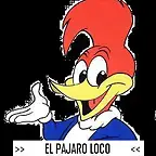 WOODY LETRERO