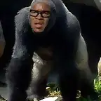 Edgard Davids