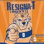 tigres