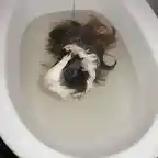 Con el pelo mojado