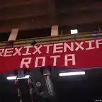 rexixtenxia roja