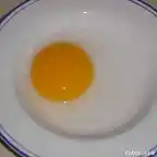 huevos ganso3