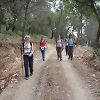 camino