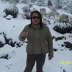 NEVADA EN EL TROPICO