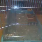 Puerta donde podre caseta de periquito