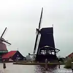 Holanda. Molinos en Edam