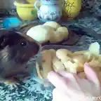 Mi madre pelando patatas y el observando para atacar!