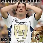 PUMAS NO PUDDO