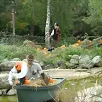 Huerto de las calabazas