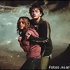 harry y hermy