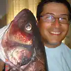 mi robalo de 7,1 kgs y yo tan feliz