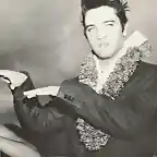 Elvis hawaii