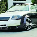 Saxo TT