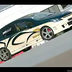 307 Tribal Edition