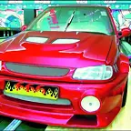 Saxo 666