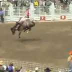 Rodeo