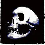 calavera acuarela
