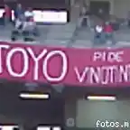 toyo pide vinotinto