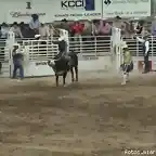 Rodeo