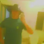 Pateus