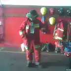 bomberina