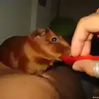 Gaara comiendo pimiento encima del nene