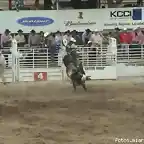 Rodeo