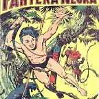 Pequeo Pantera Negra