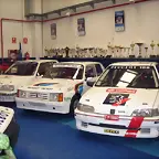 Peugeot y Samba