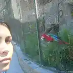 zoologico