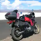 Salinas 120 Kms de Jujuy