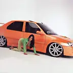 306 Limo