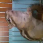 Pose a lo rata de alcantarilla xD