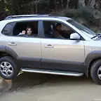 Saludando