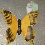 Pericos en la mariposa!!