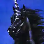 UNICORNIO NEGRO