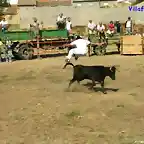 Salto de la vaquilla