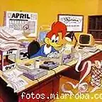 pajaro oficina