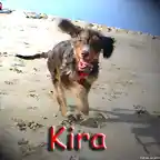 Kira