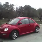 mi new beetle