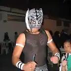 kid tiger