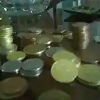 monena moneda