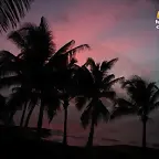 SAN ANDRES