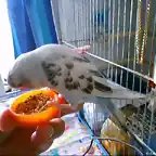 comiendo en mi mano